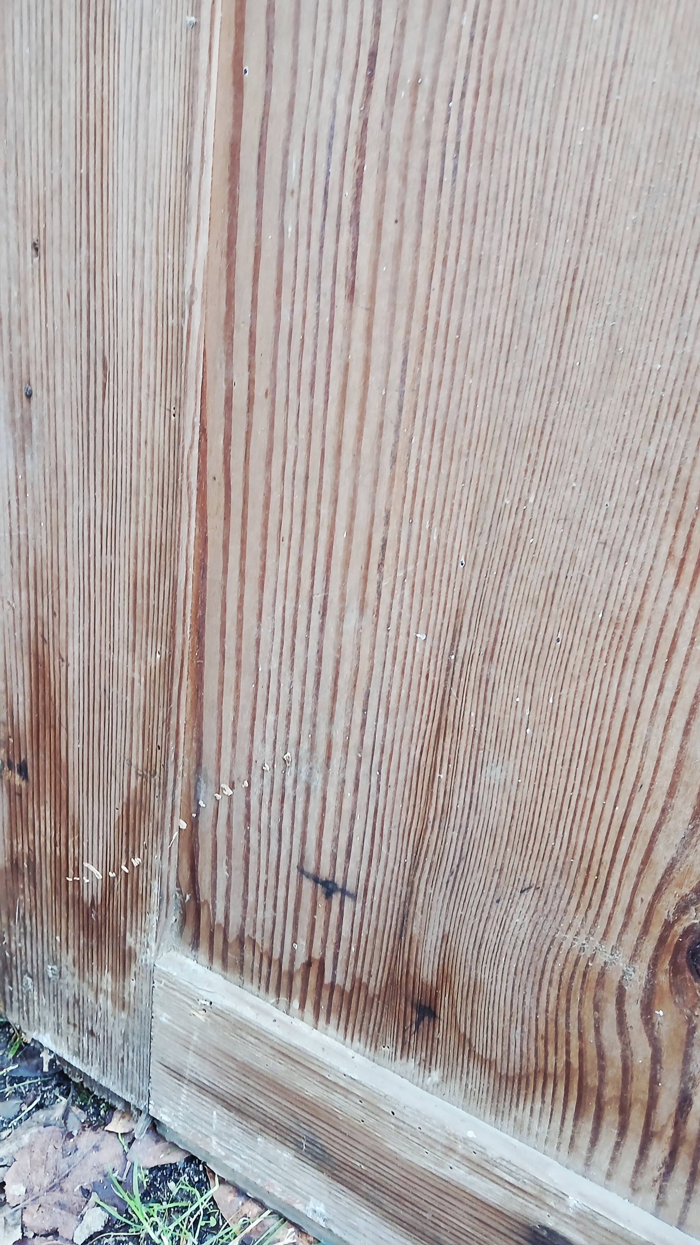 Pair of old cupboard doors