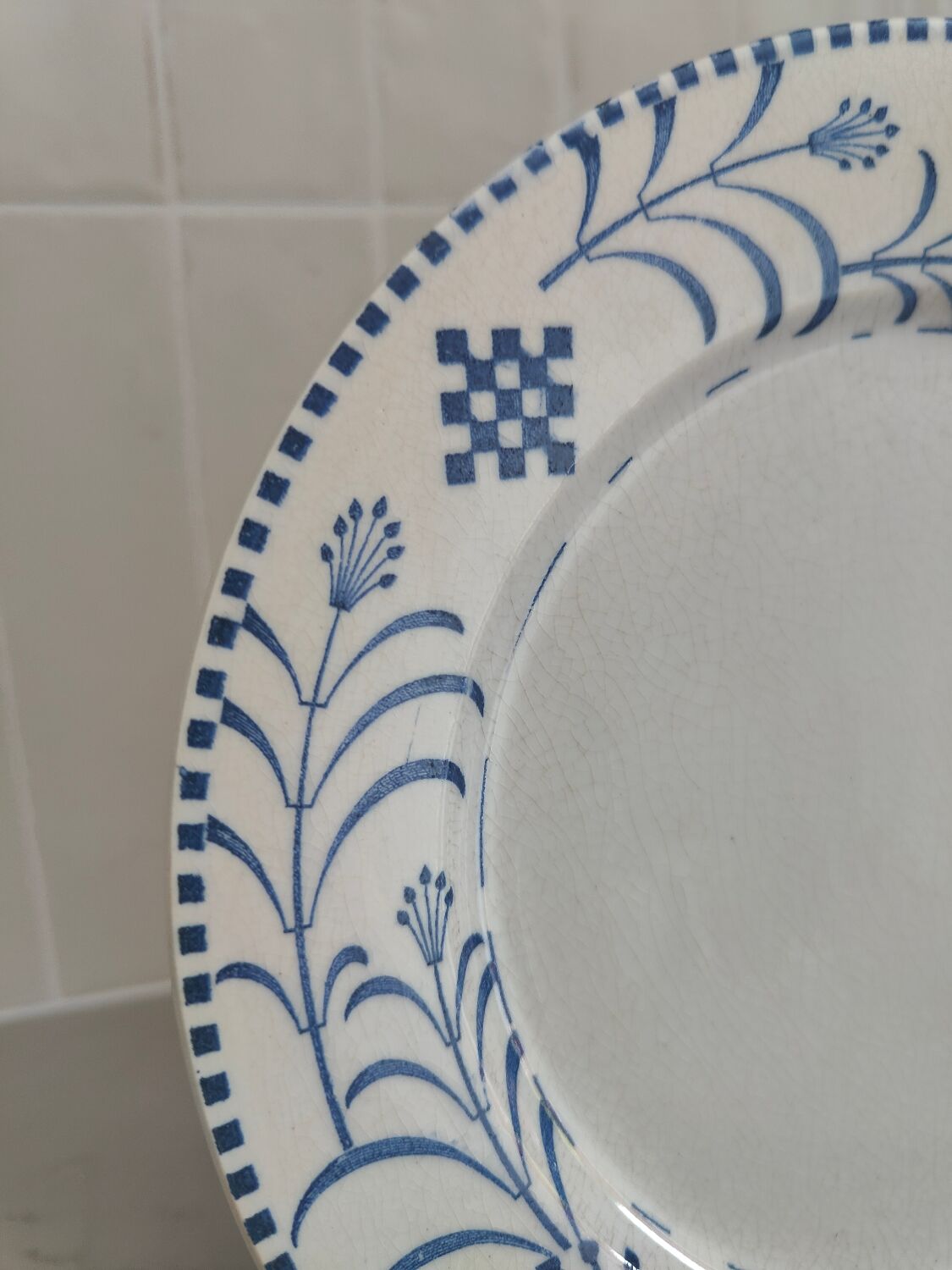 5 plates