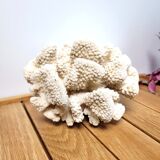 Large white coral cauliflower 18x15cm