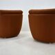 Pair of vintage mid-century Atlantis armchairs, 1960s