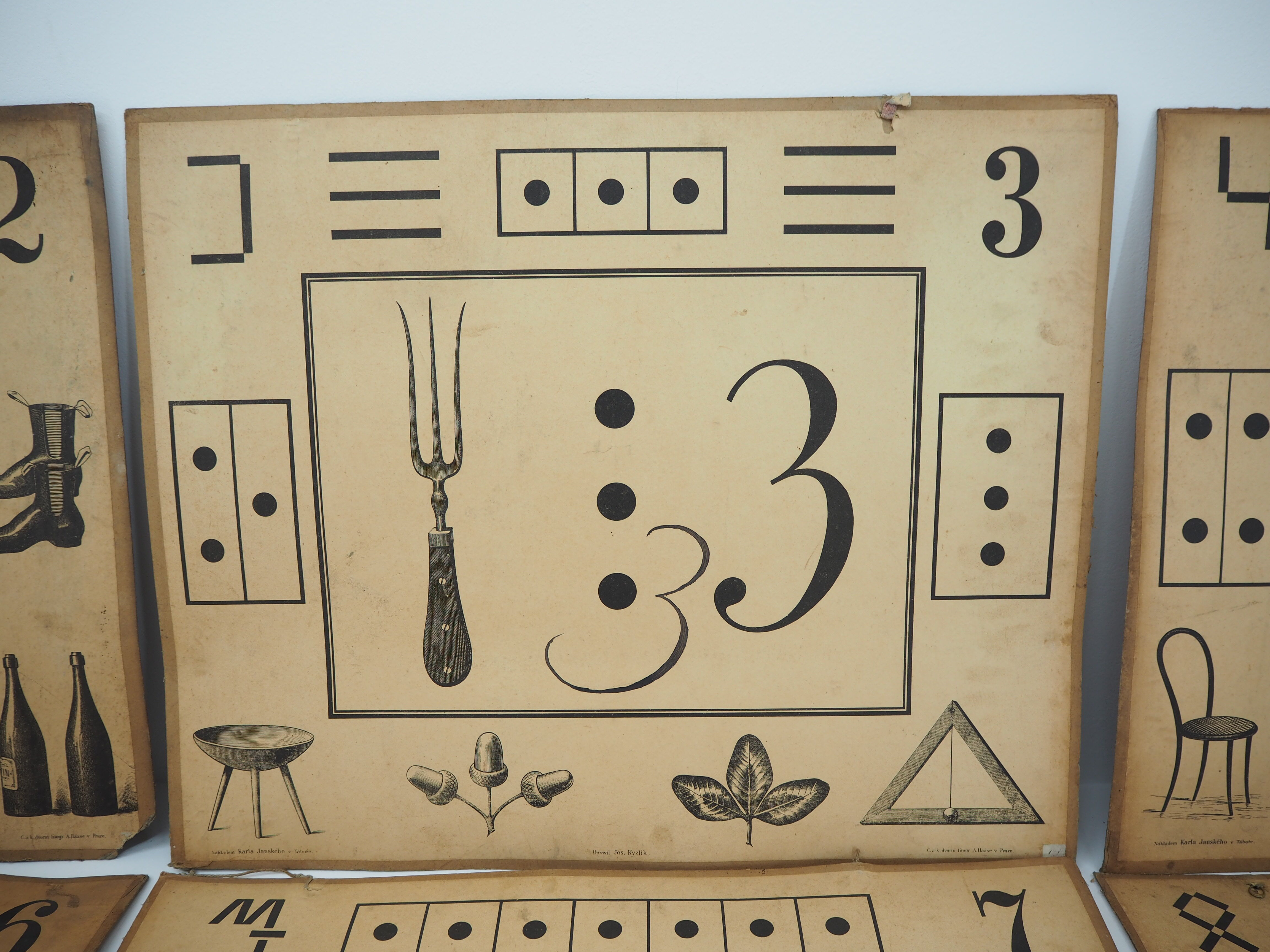 Set Of Nine Antique Teaching Posters from Litography A. Haase, Prague, 1900s