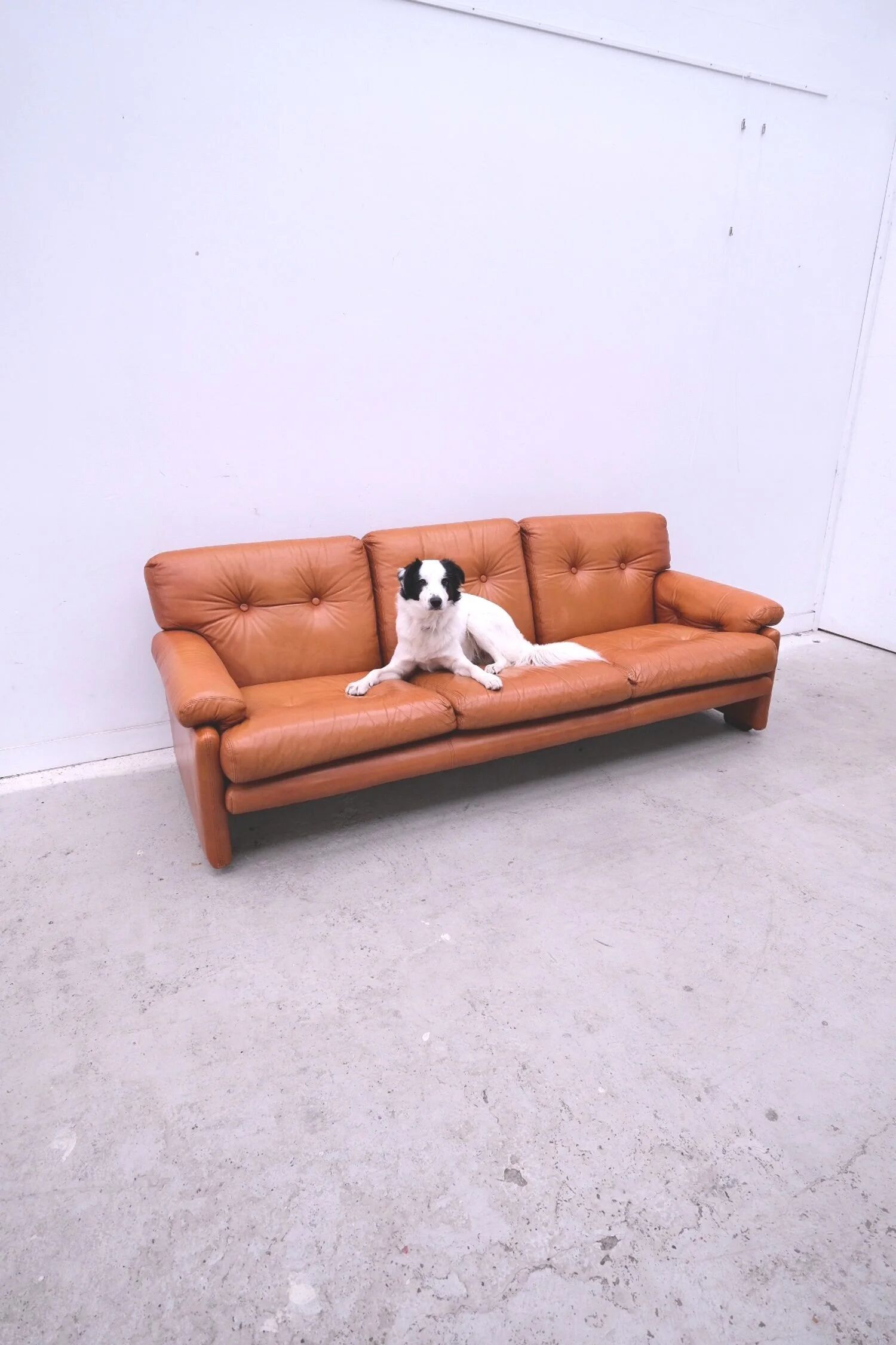 “Coronado” sofa by Afra & Tobia Scarpa for B&B Italia, Italy 1970