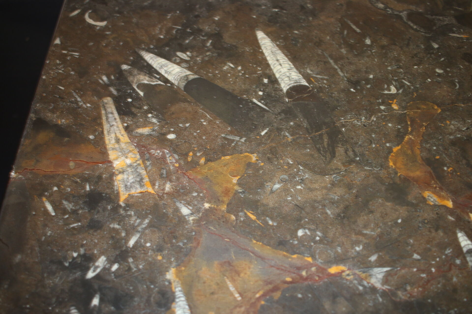 Table basse vintage en pierre fossilisée