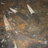 Table basse vintage en pierre fossilisée