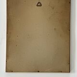 bird frame