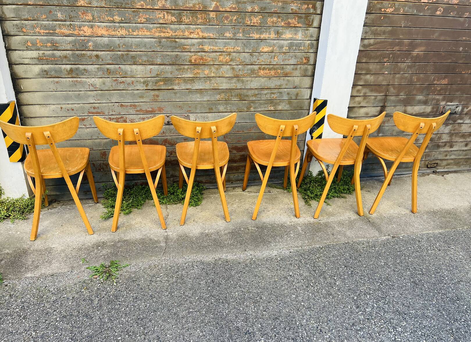 (Lot) 6 Bistro Chairs Lutherma Banana (Light Oak)
