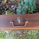 Boite en bois avec anse