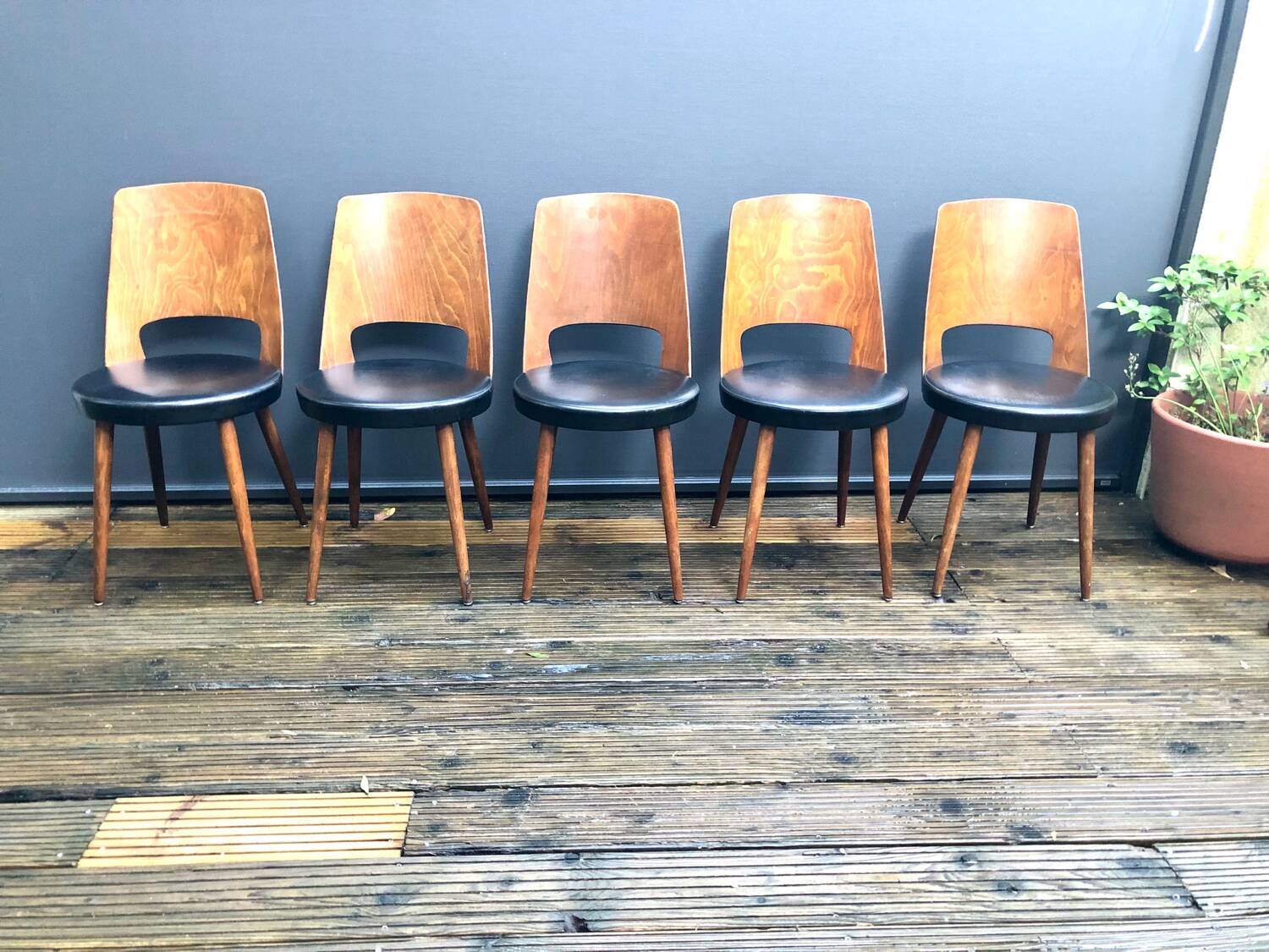 Set de 5 chaises Baumann Mondor