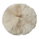 Natural white coral