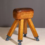 Gymnastic Leather Pommel Horse, Czechoslovakia, 1950’s