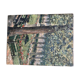 Ancient painting