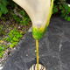 Vintage flower lamp