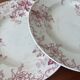 Set of 6 antique red Terre de Fer plates St Amand Hamage model