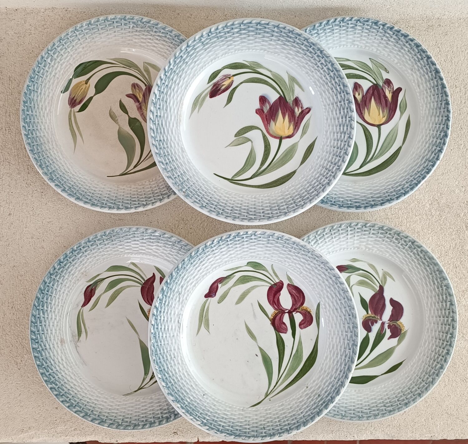 6 Saint Amand plates iris decor