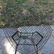 Harry Bertoia Diamond armchair for Knoll