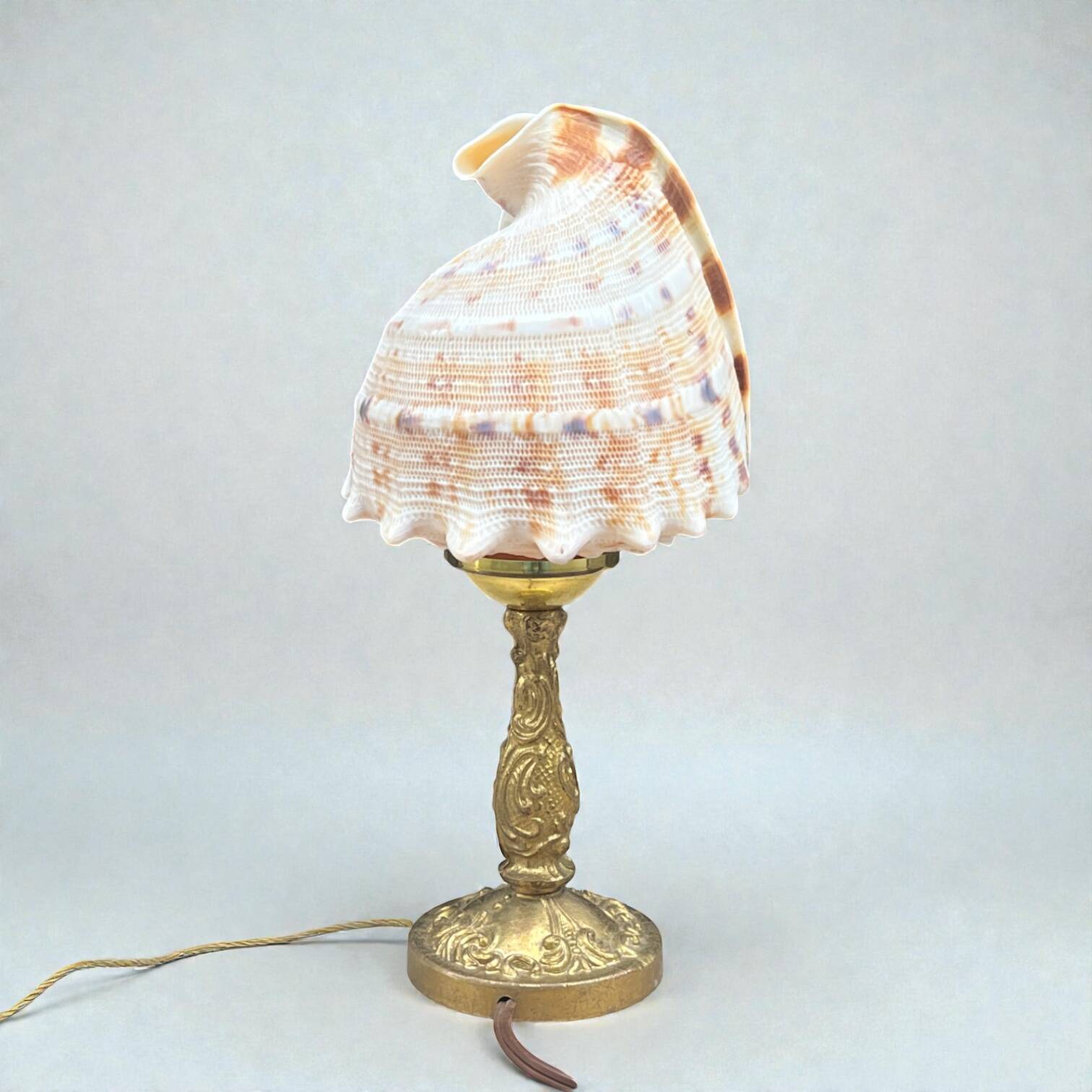Cassis Cornuta shell lamp on a bronze base - Shell nightlight