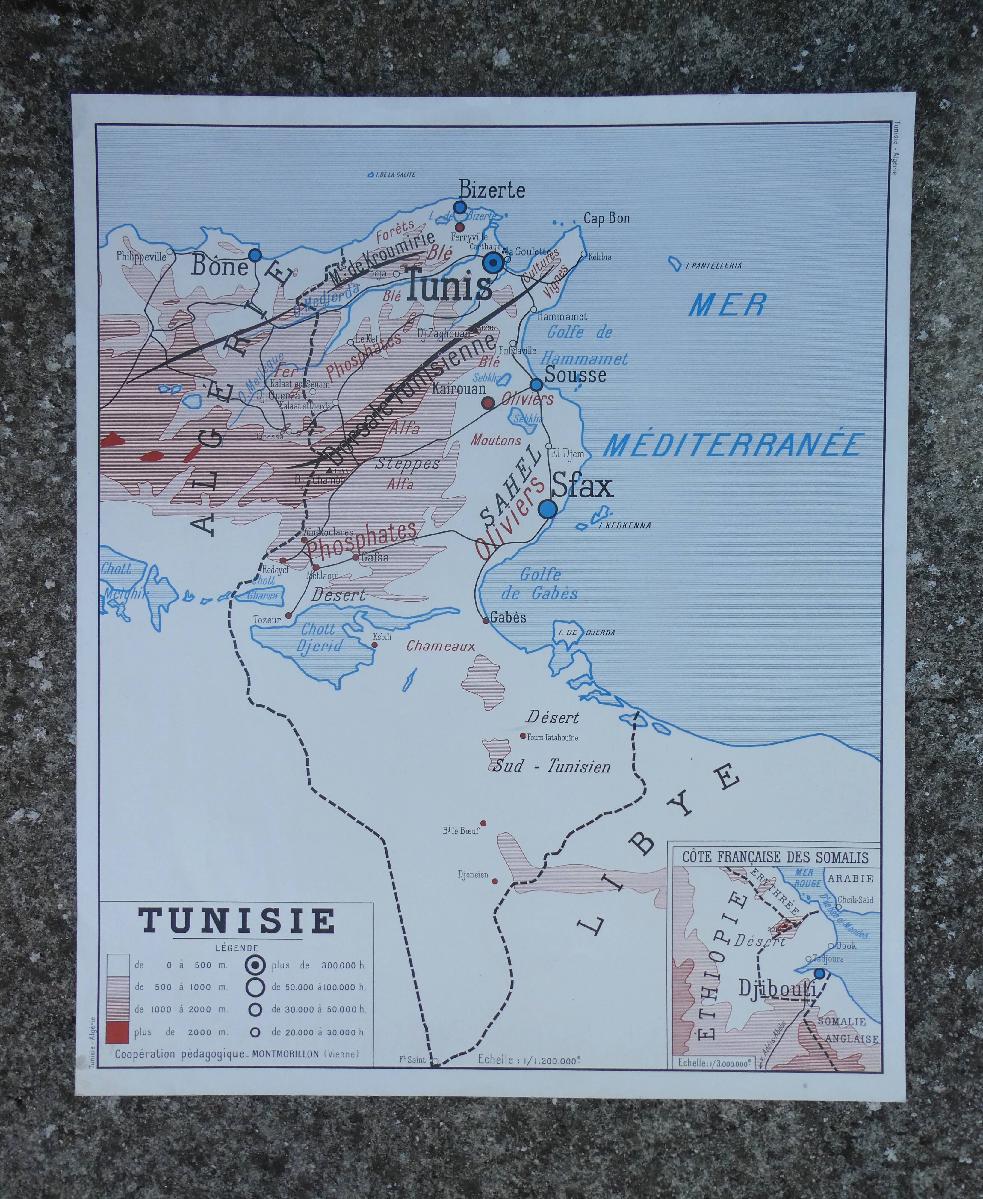 Old poster-school map Rossignol year 50 Tunisia, Algeria