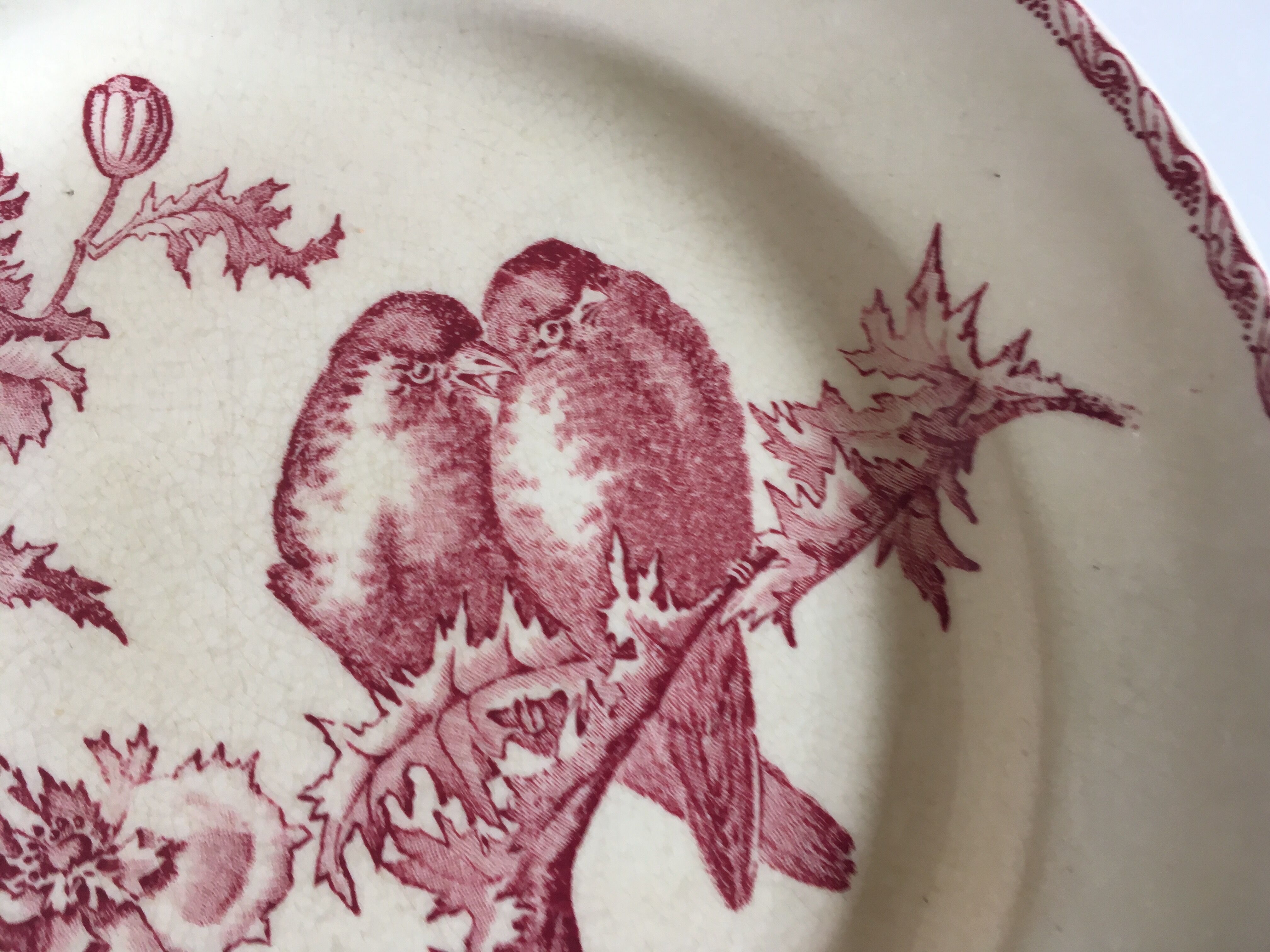 Set de 9 assiettes en faience 19e oiseaux Longwy