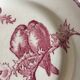 Set de 9 assiettes en faience 19e oiseaux Longwy