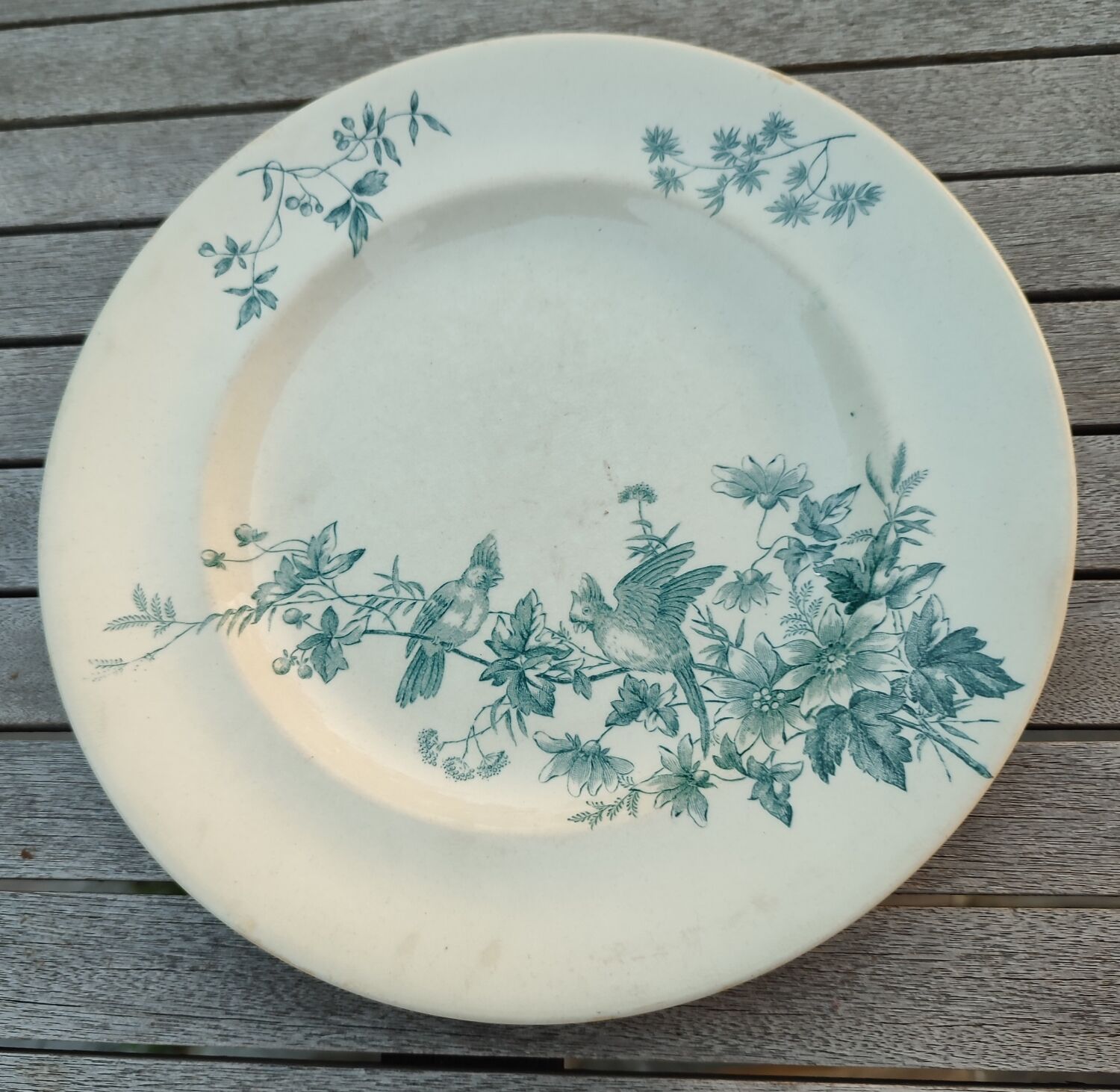 Longwy dinner plate