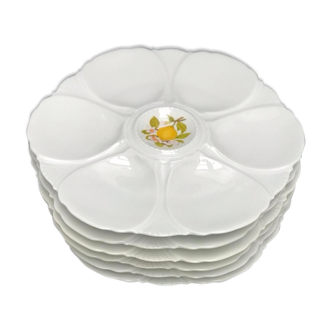 6 assiettes huîtres a giraud collection porcelaine limoges crustacés