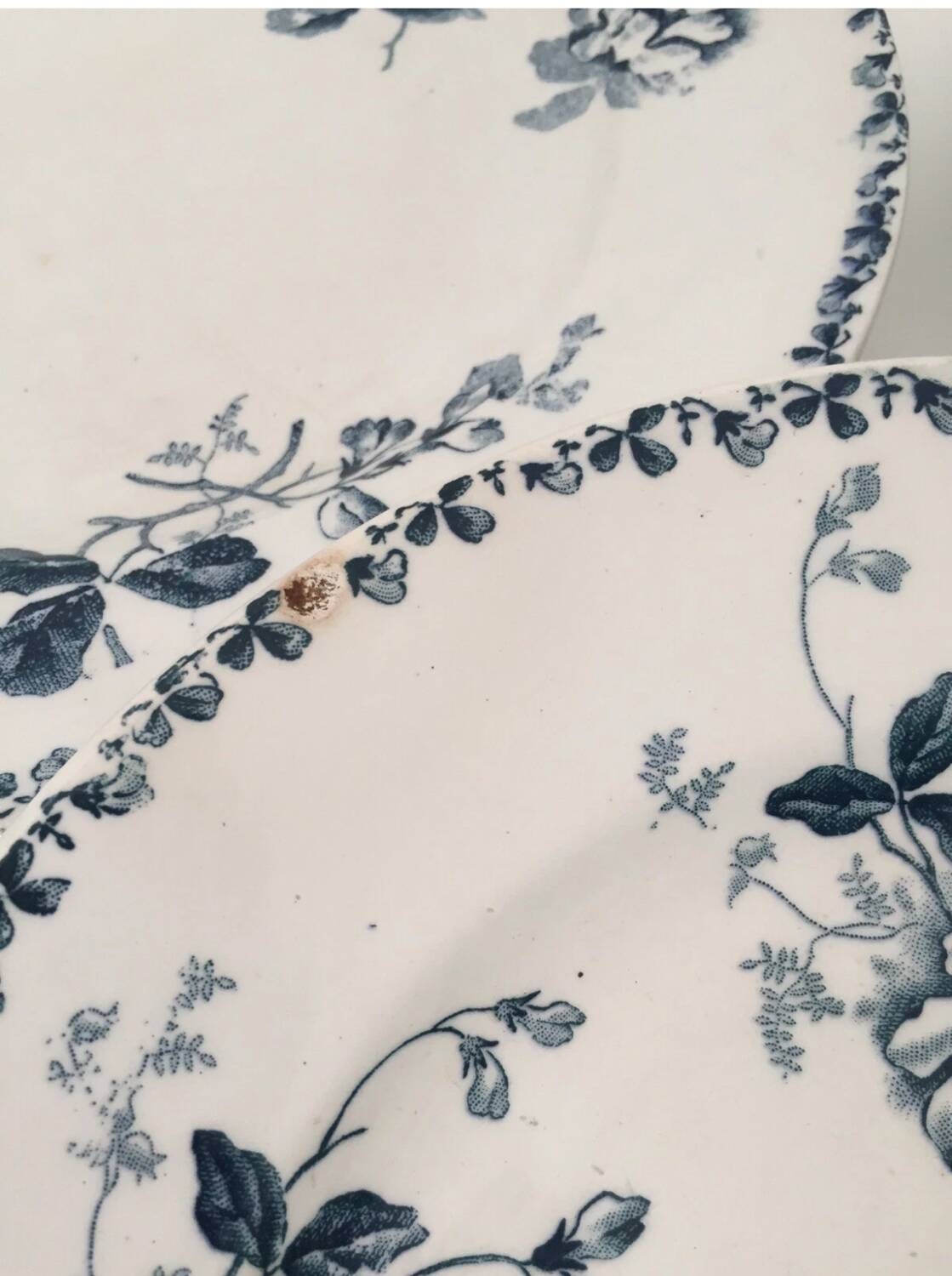 Assiette Terre de Fer St Amand Acacia XIX