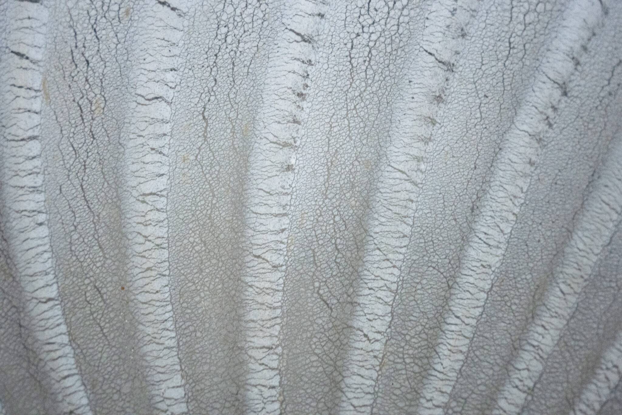 Barbini Murano Glass Ceiling lamp, Italy 1980s