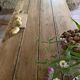 Renovated raw wood farmhouse table