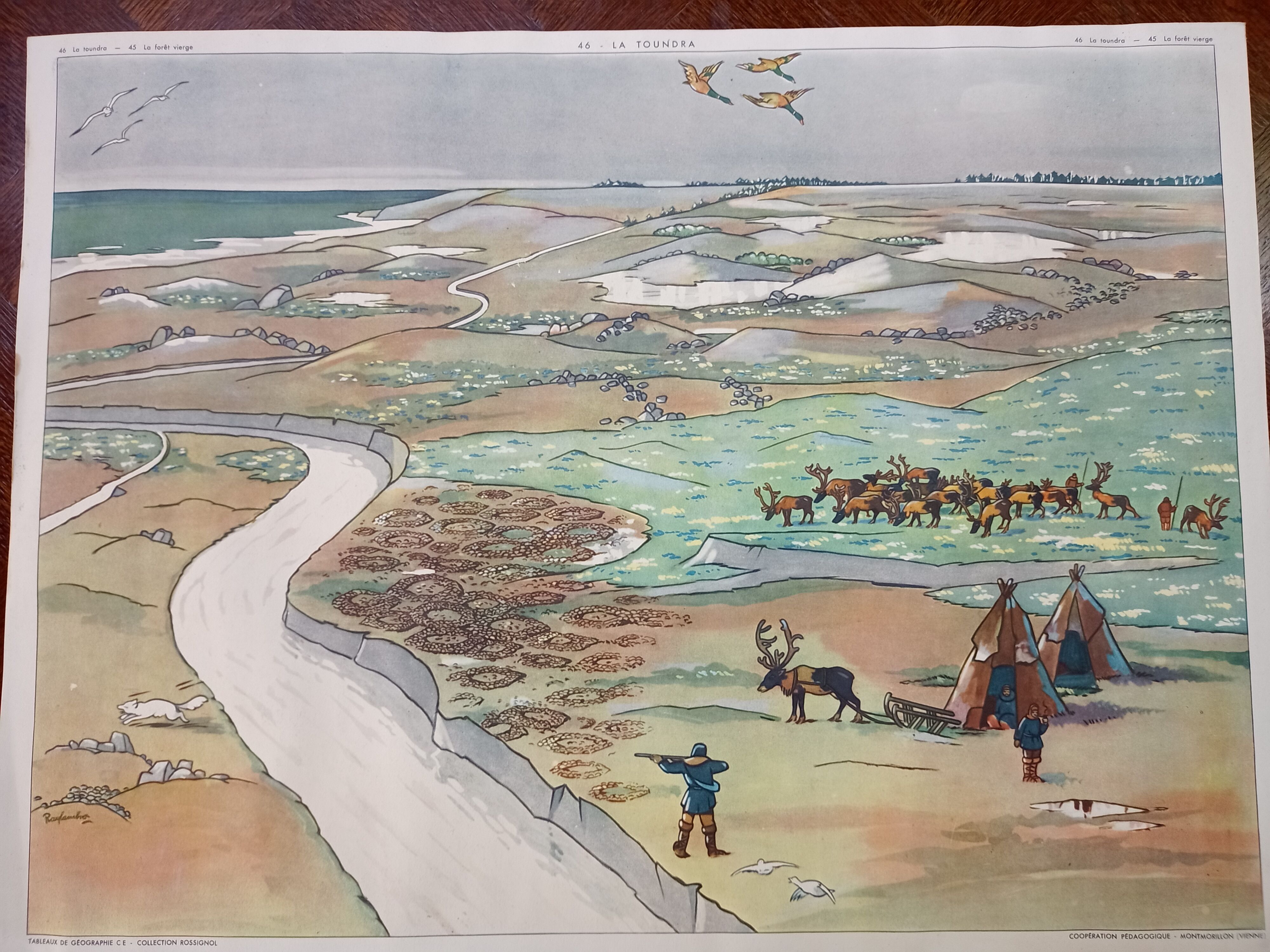 Rossignol school poster 45. The Virgin Forest 46 The Tundra