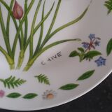 8 assiettes dessert fleurs