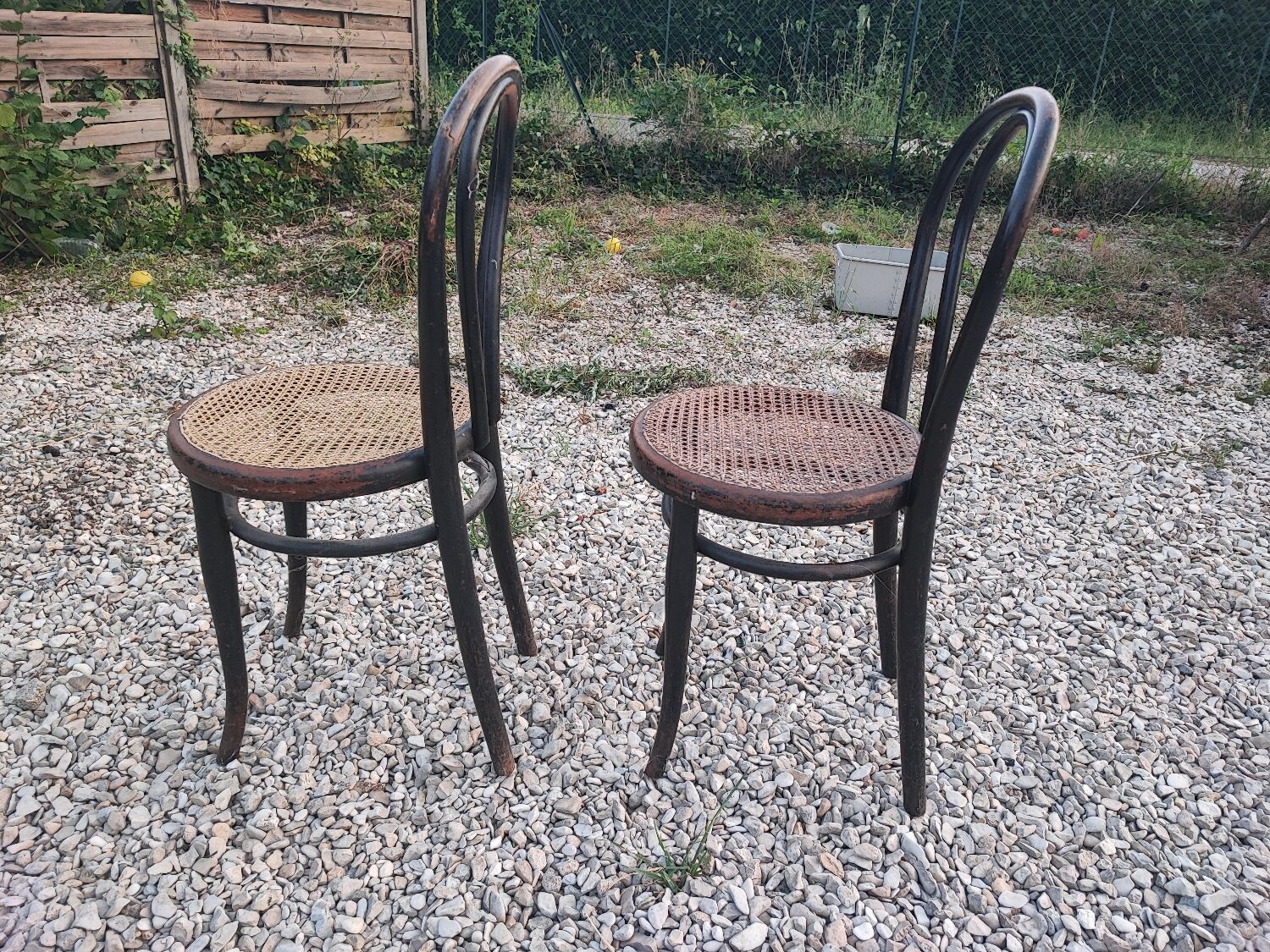 Duo de chaises cannées, Thonet Austria