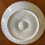 Series of 12 oyster plates