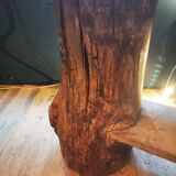 Table primitive