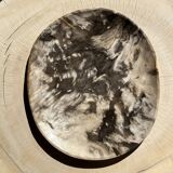 Very large empty pocket or dish in petrified wood