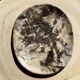 Very large empty pocket or dish in petrified wood