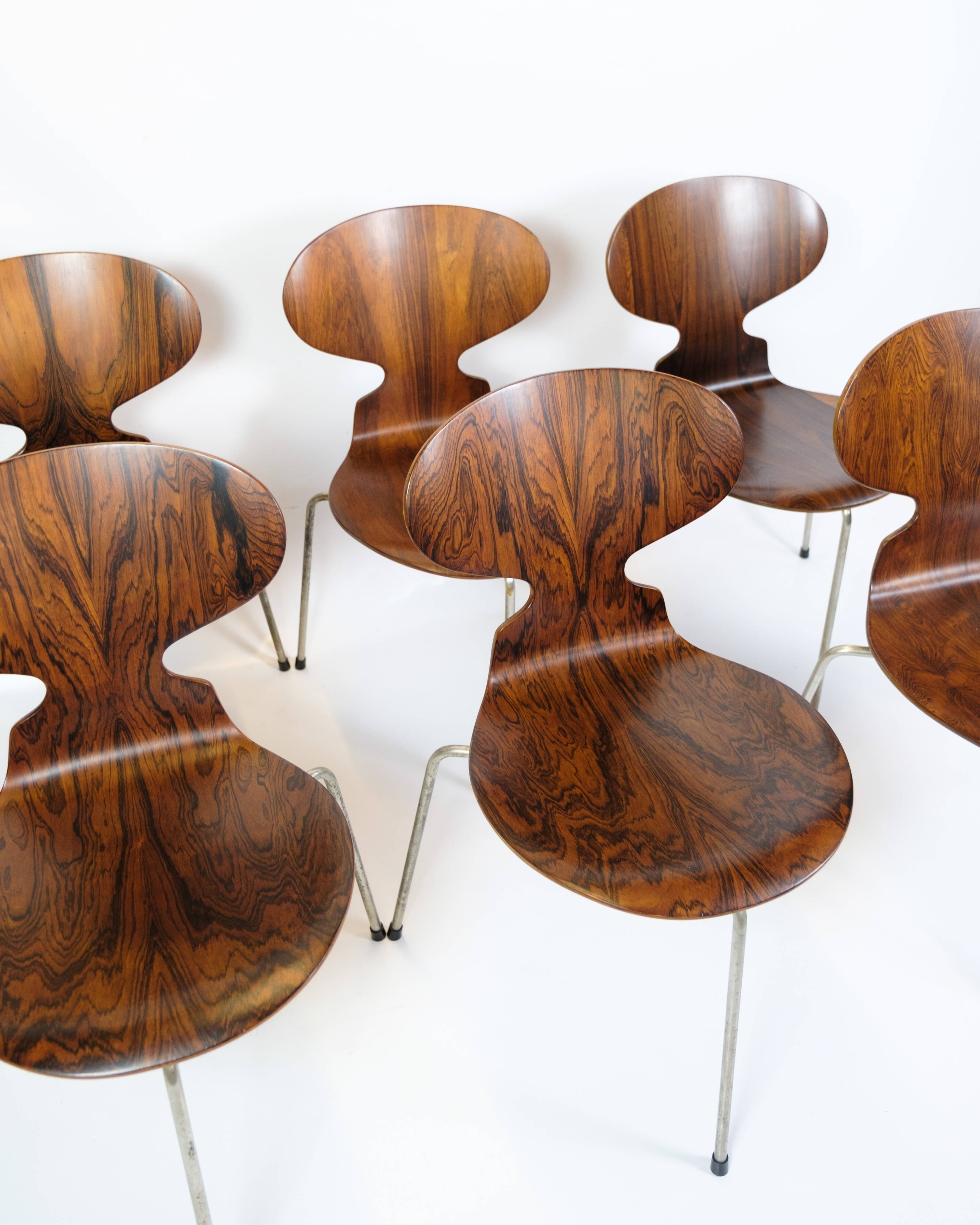 Set Of 6 Ant Chairs Model 3101 Made In Rosewood By Arne Jacobsen For Fritz Hansen From 1950s