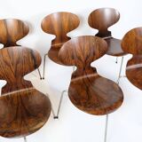 Lot de 6 chaises Ant modèle 3101 fabriquées en palissandre par Arne Jacobsen pour Fritz Hansen des années 1950