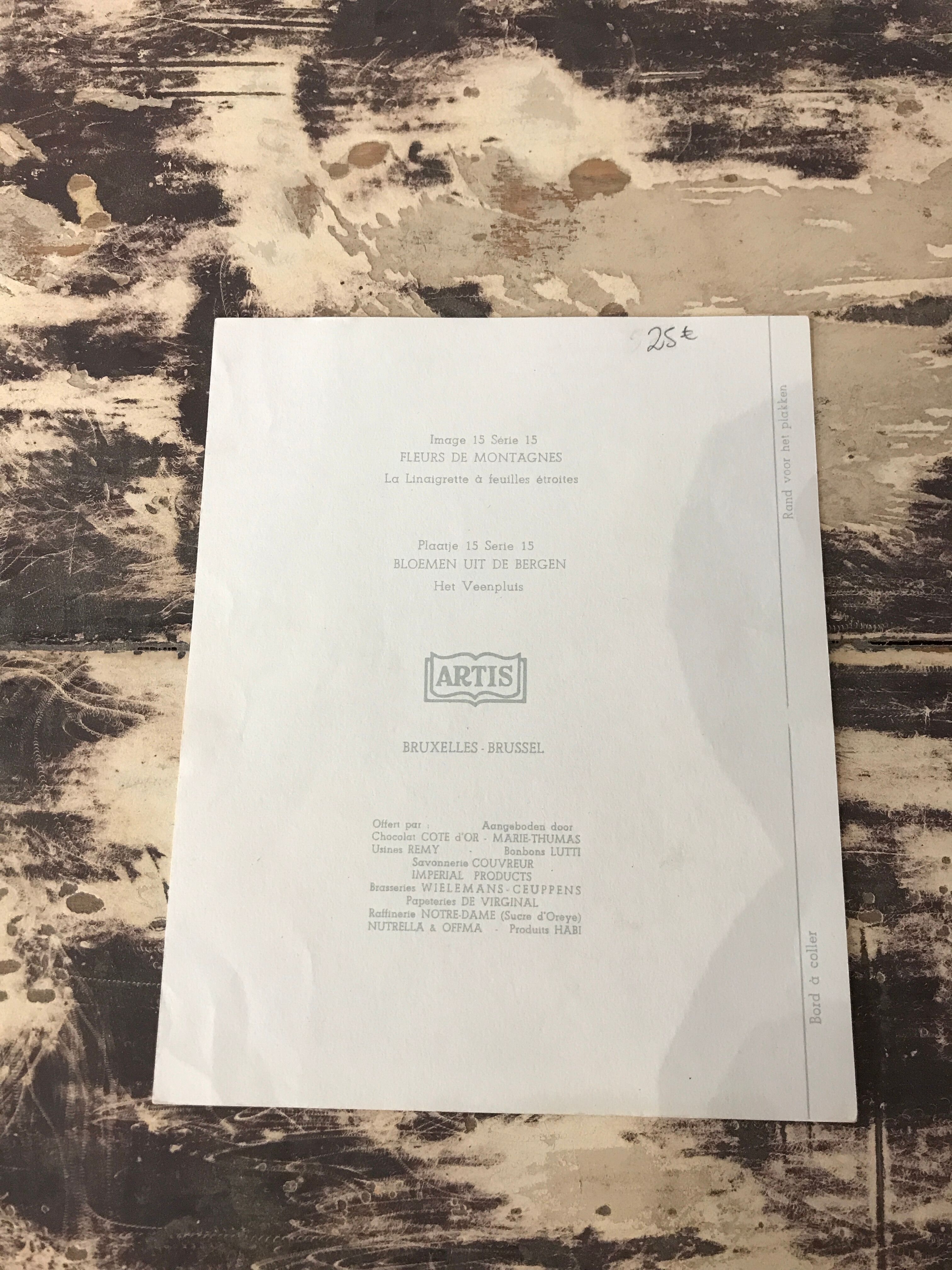 Illustration botanique ancienne