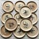 Flat plates Sarreguemines Fish Granville