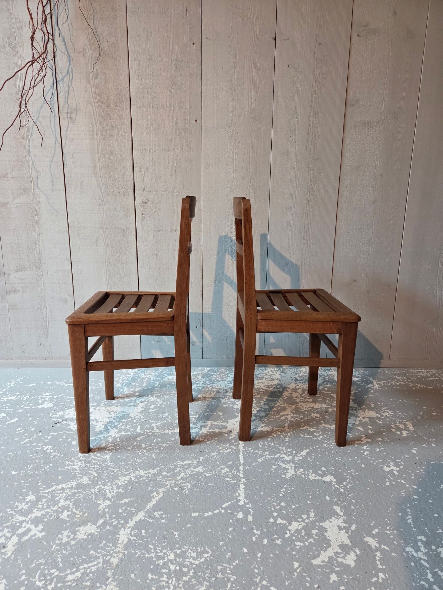 Oak chairs