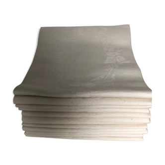 Cotton napkins