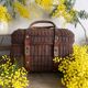 Panier bressan