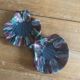 Pair of iridescent shells