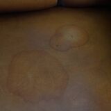 Sheepskin Leather Armchair and Dark Brown Piping