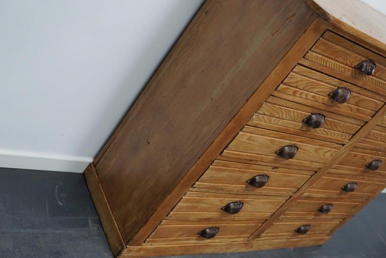 Apothecary furniture in French pine twentieth century