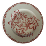 19th Century Plate - Old Man - Datura Model