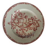 19th Century Plate - Old Man - Datura Model
