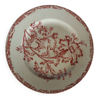 19th Century Plate - Old Man - Datura Model
