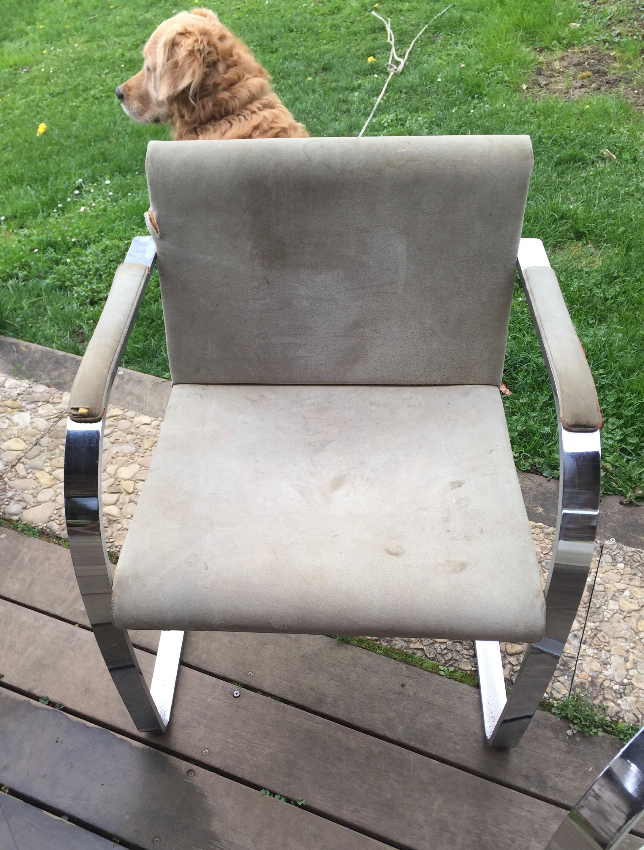 Paire de fauteuils Brno de Ludwig Mies van der Rohe