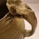 Claude Champy Pitcher